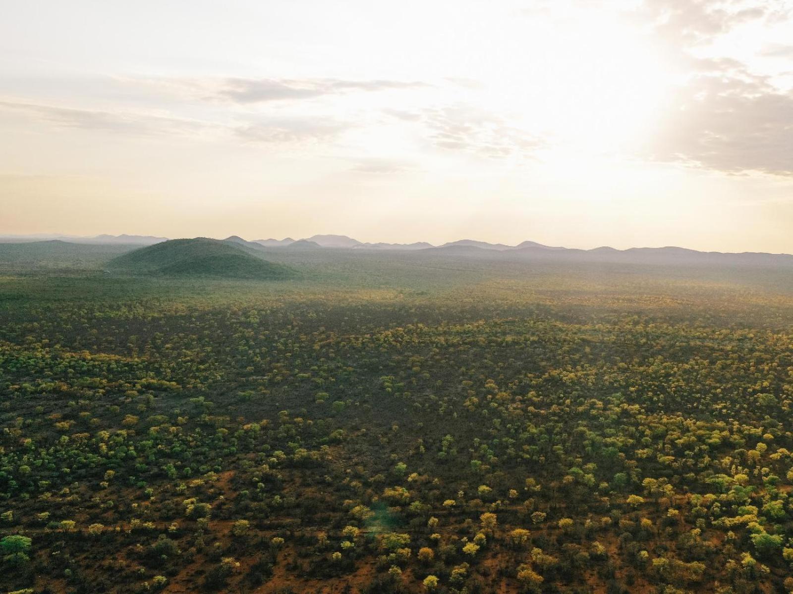 Kifaru Bush Camp Hotel Outjo Kültér fotó